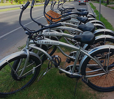 Bike Rentals