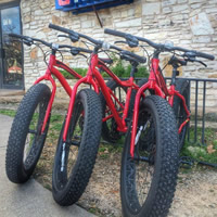 Bike Rentals